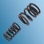 Preview: set of valve springs for Porsche 914  90110590151,90110590150