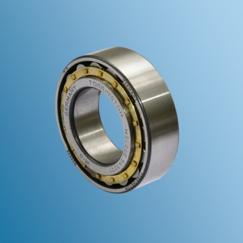 Cylindrical-roller bearing for Porsche 911, 72-86 and Turbo, 75-89       99911002500