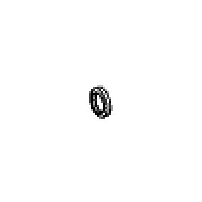 Ring für Porsche 914-4  111941547
