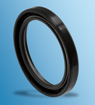 Radialdichtring für Porsche 911  90011301150