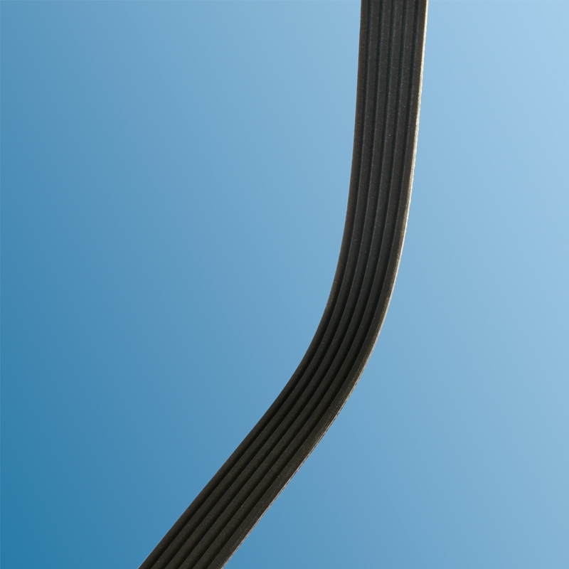 Poly-Rip-Riemen für Porsche 997  99610215166
