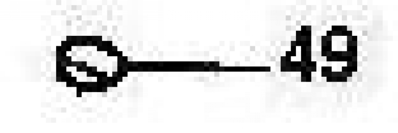 Nr.49 Dichtring
