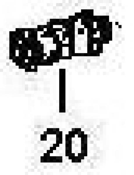 Nr.20 Faltenbalg