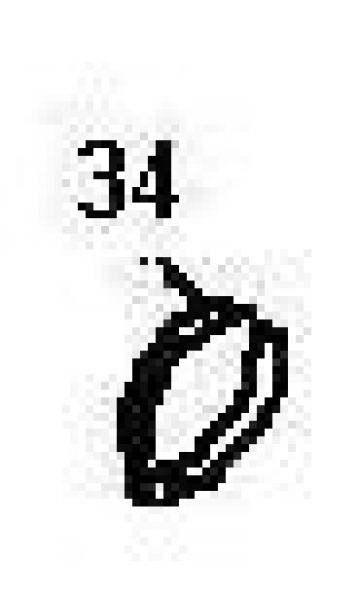 Nr.34 Schlauchklemme