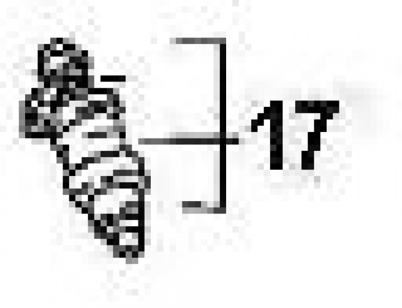 Nr.17 Einspritzventil  bis Bj.88