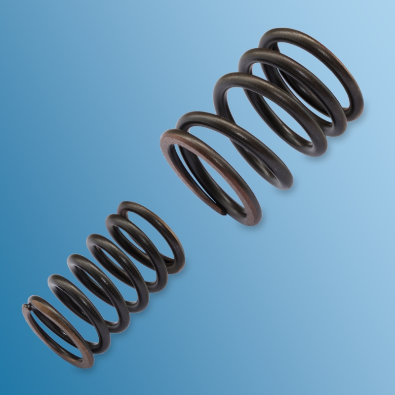 set of valve springs for Porsche 914  90110590151,90110590150